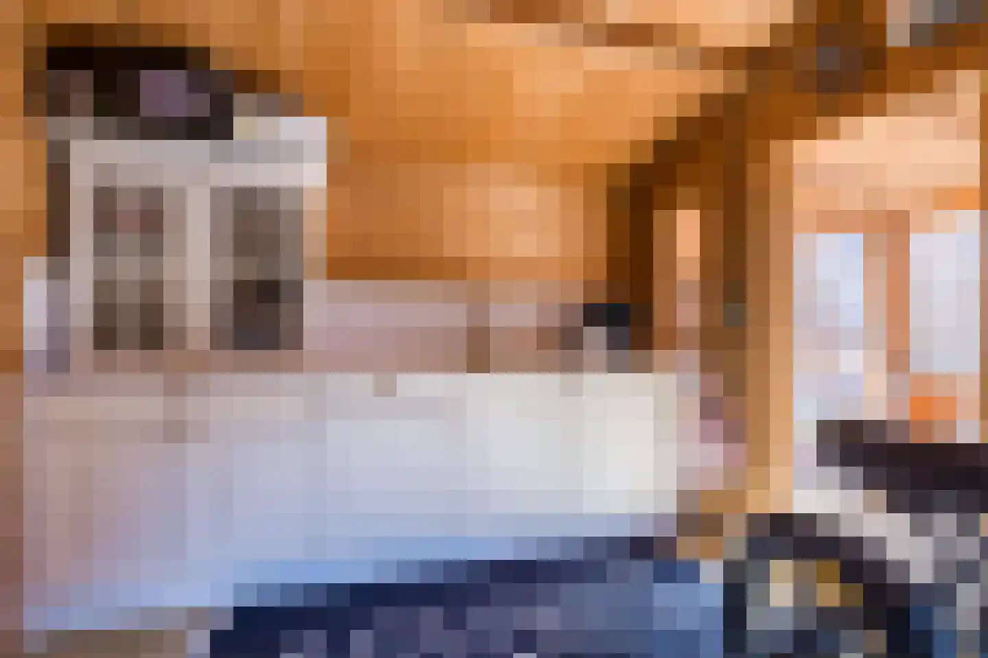 Händelrode 29 Zoetermeer thumbnail 29