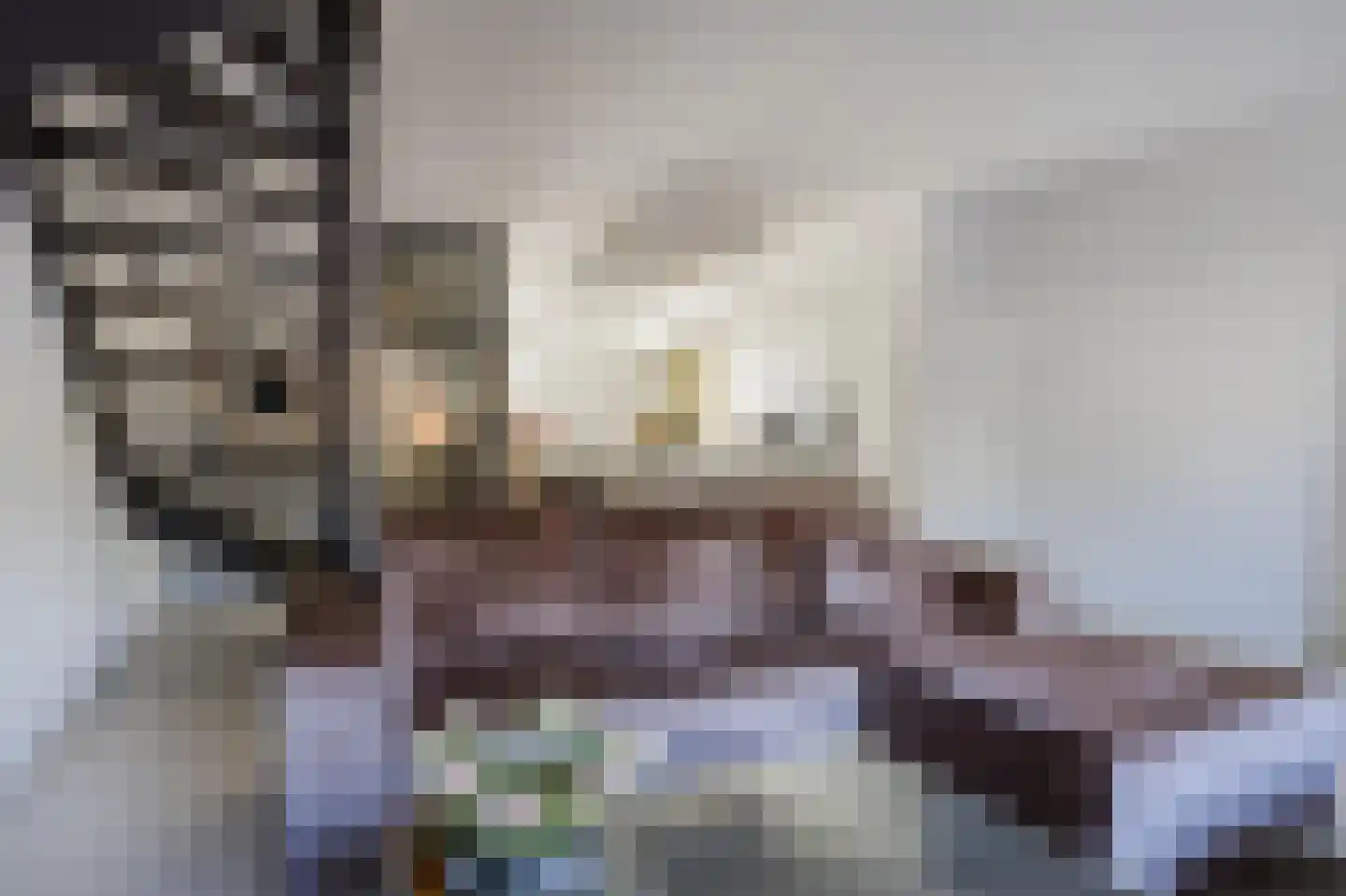 Händelrode 29 Zoetermeer thumbnail 7