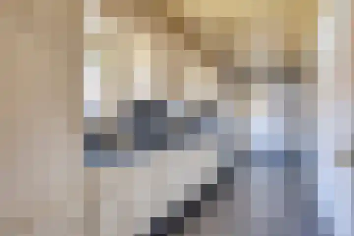Handelseweg 34 Handel thumbnail 17