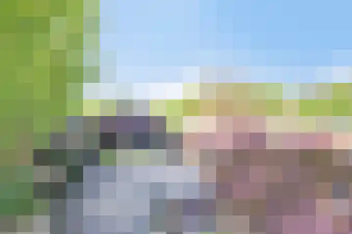 Handelseweg 34 Handel foto 2