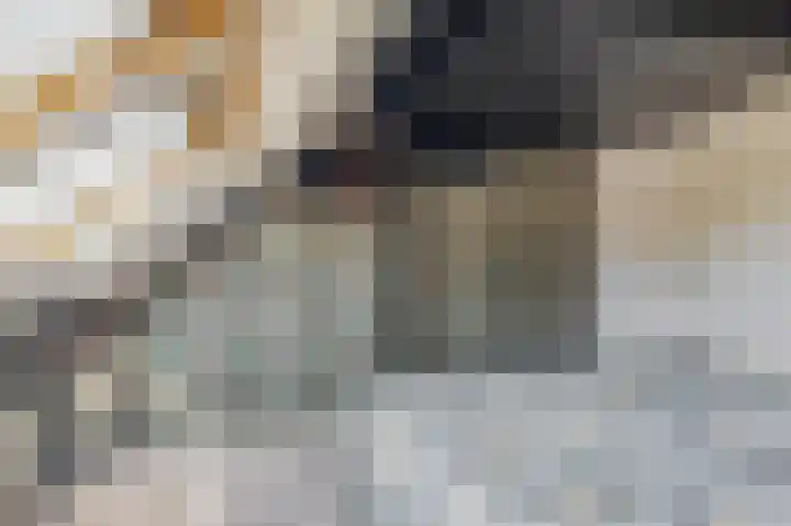 Handelseweg 34 Handel thumbnail 28