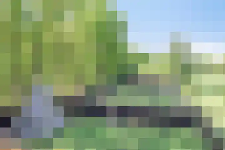 Handelseweg 34 Handel thumbnail 4