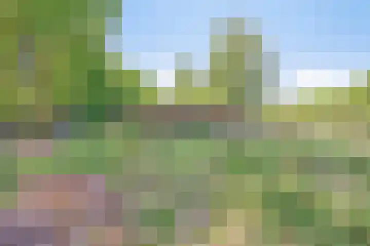 Handelseweg 34 Handel thumbnail 57
