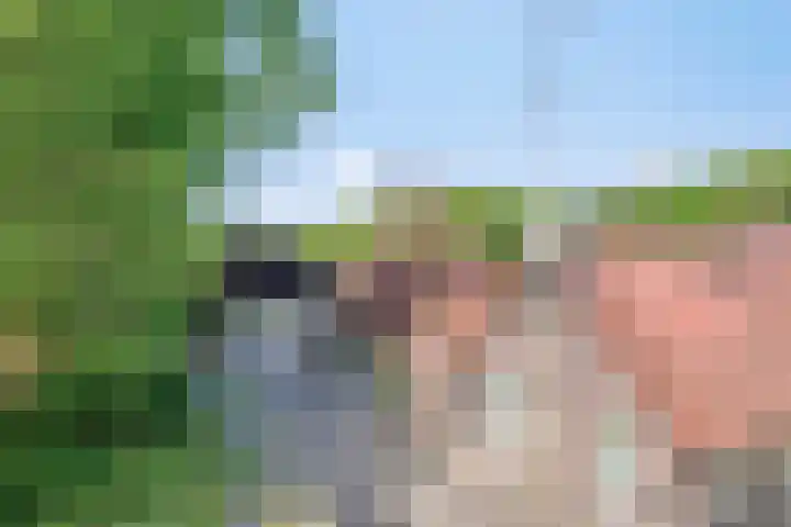 Handelseweg 34 Handel thumbnail 58