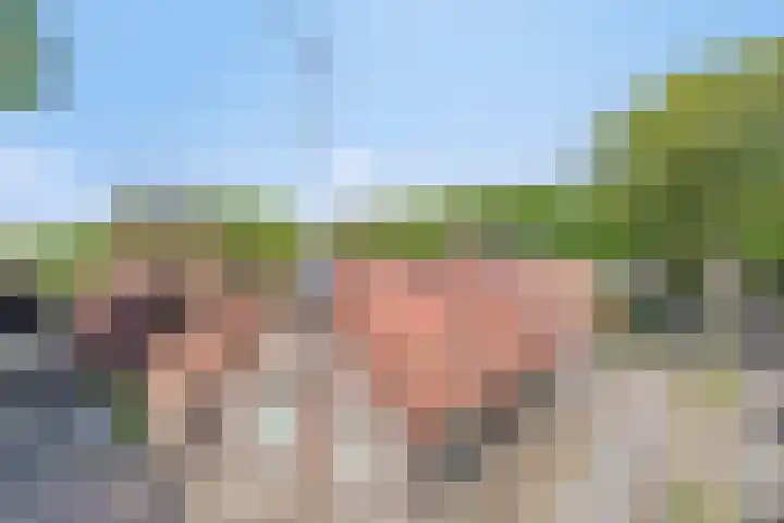 Handelseweg 34 Handel thumbnail 59