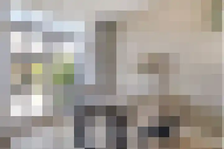 Händelsingel 7 Bunschoten-Spakenburg thumbnail 13