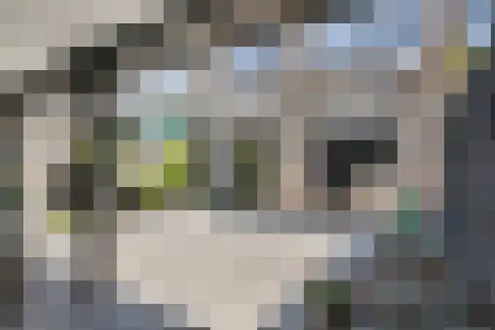 Händelsingel 7 Bunschoten-Spakenburg thumbnail 34
