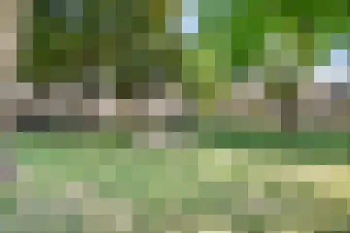 Händelsingel 7 Bunschoten-Spakenburg thumbnail 38