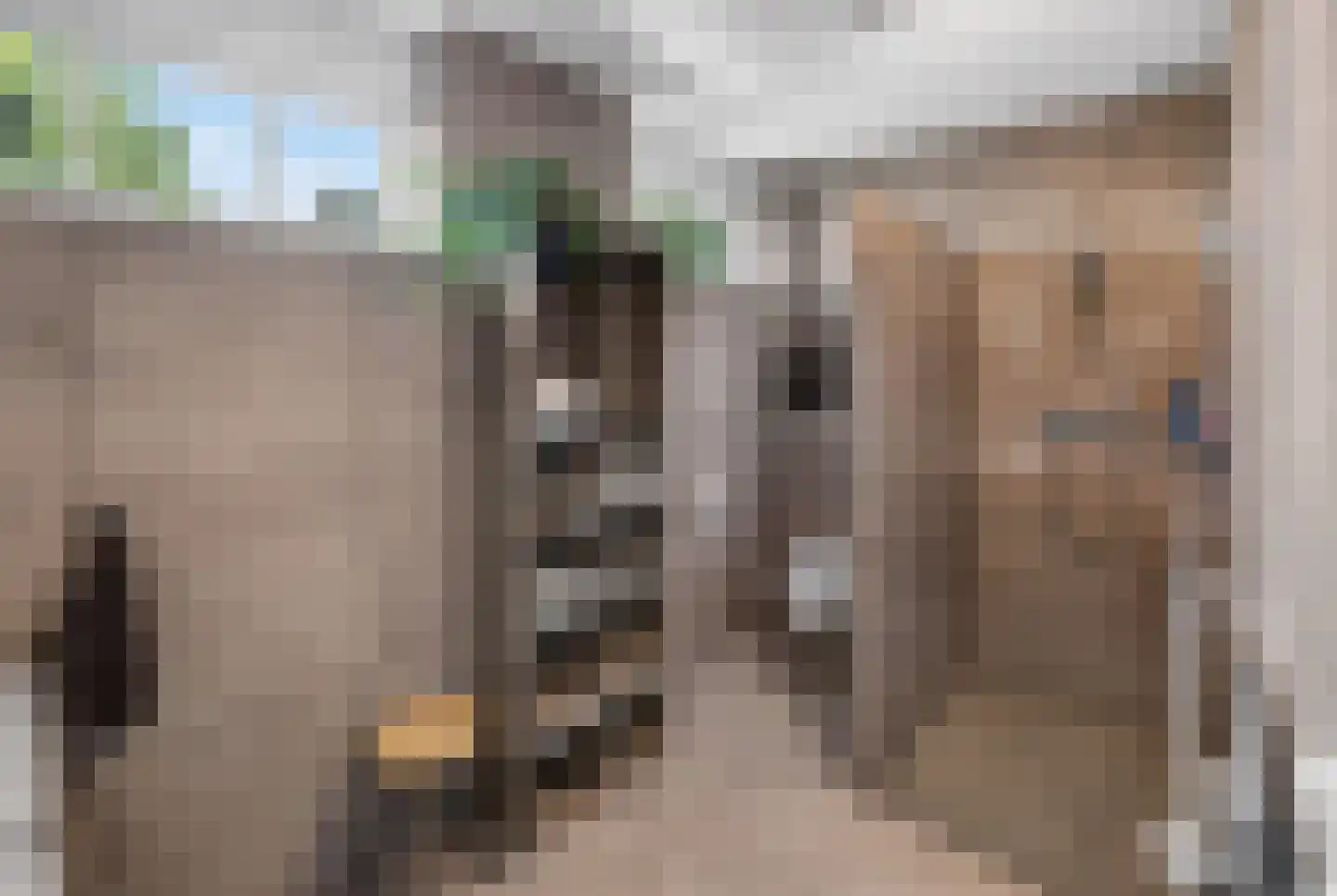 Handelskade 1 Oude-Tonge thumbnail 20
