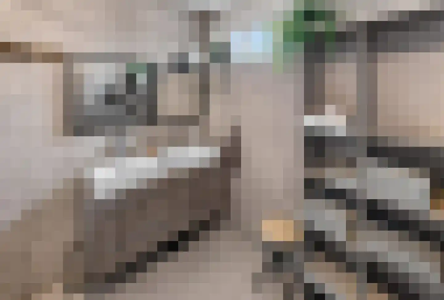 Handelskade 1 Oude-Tonge thumbnail 21