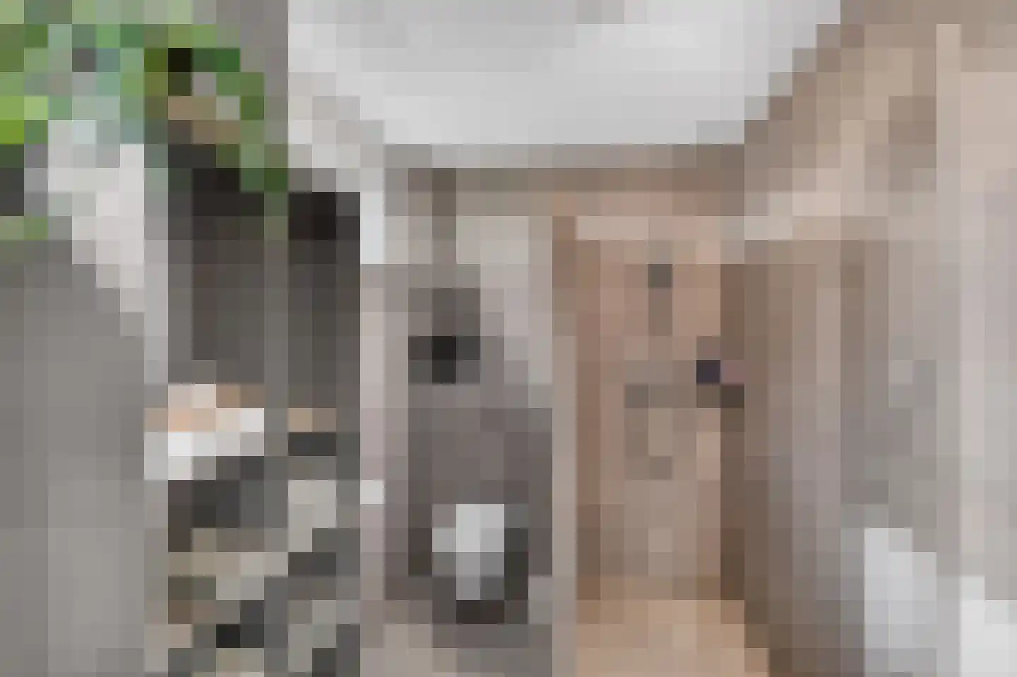 Handelskade 1 Oude-Tonge thumbnail 22