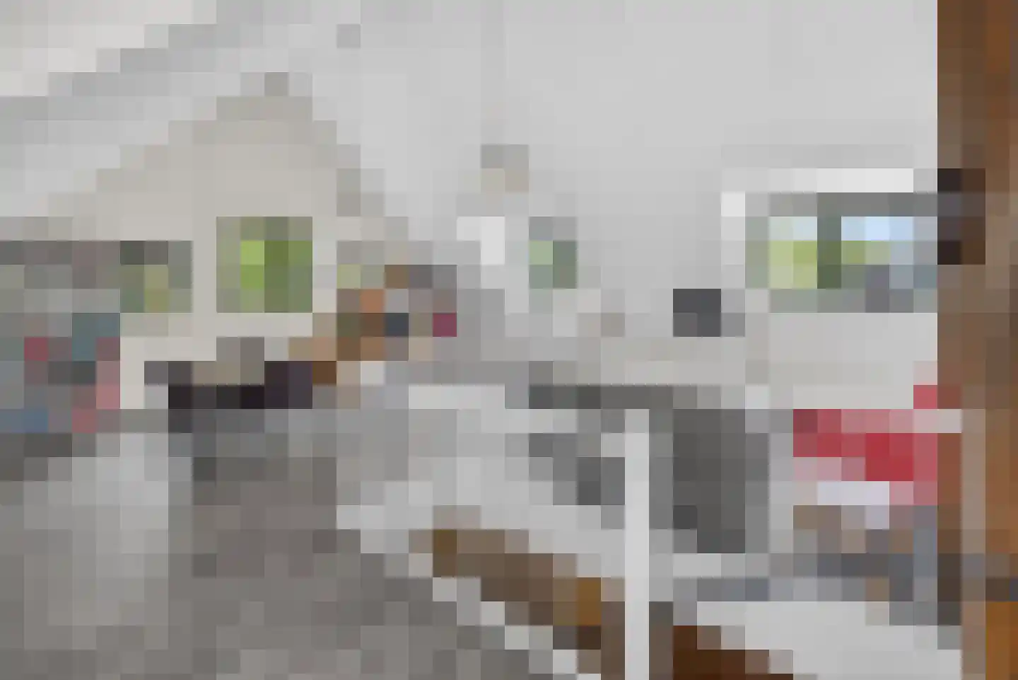 Handelskade 1 Oude-Tonge thumbnail 23