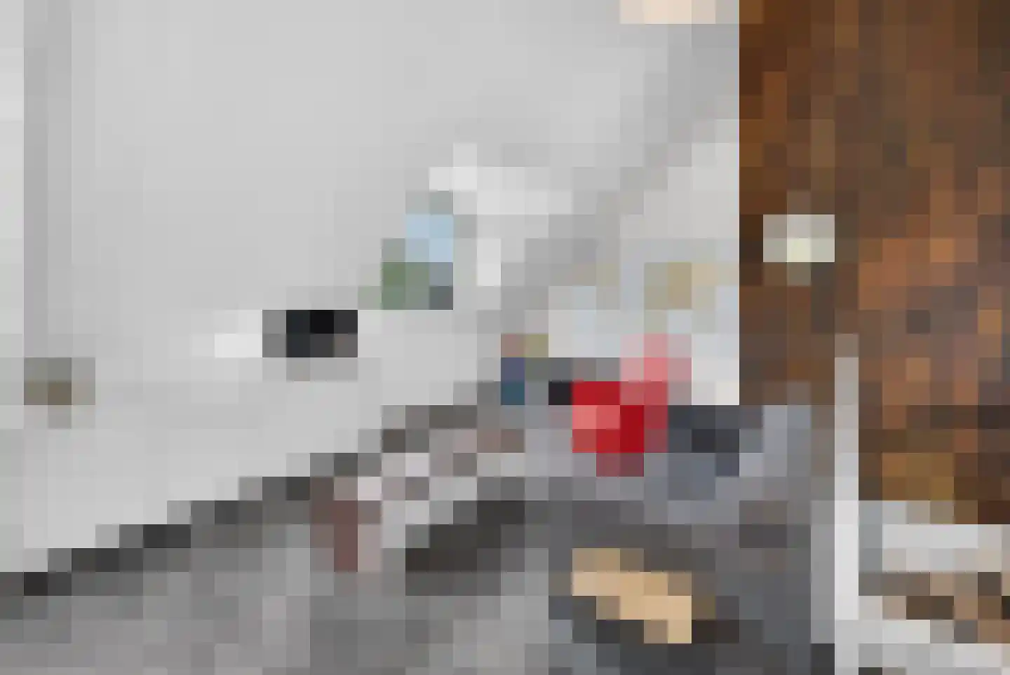 Handelskade 1 Oude-Tonge thumbnail 25