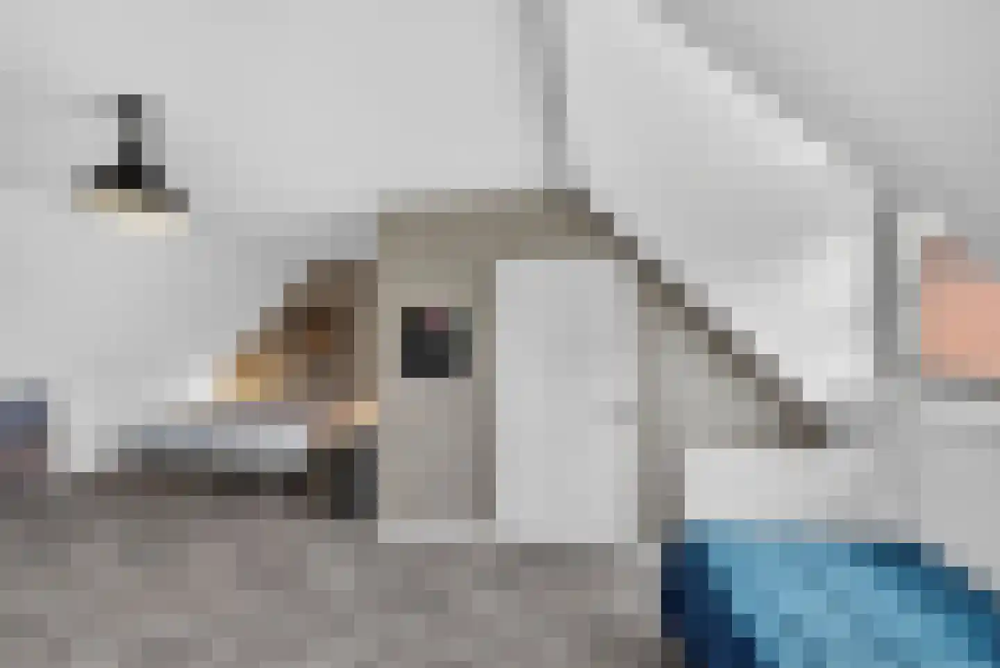 Handelskade 1 Oude-Tonge thumbnail 26