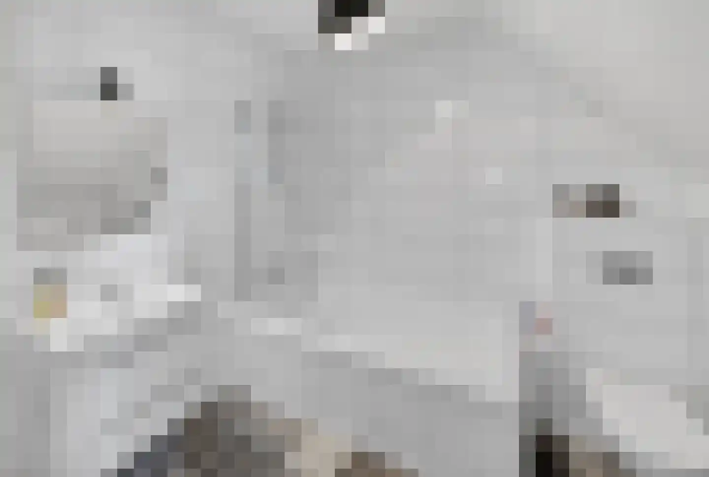 Handelskade 1 Oude-Tonge thumbnail 28