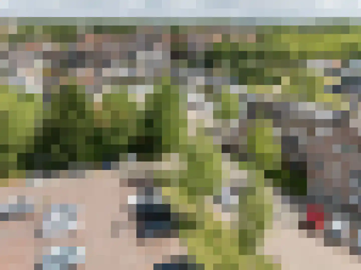 Handelskade 1 Oude-Tonge thumbnail 36