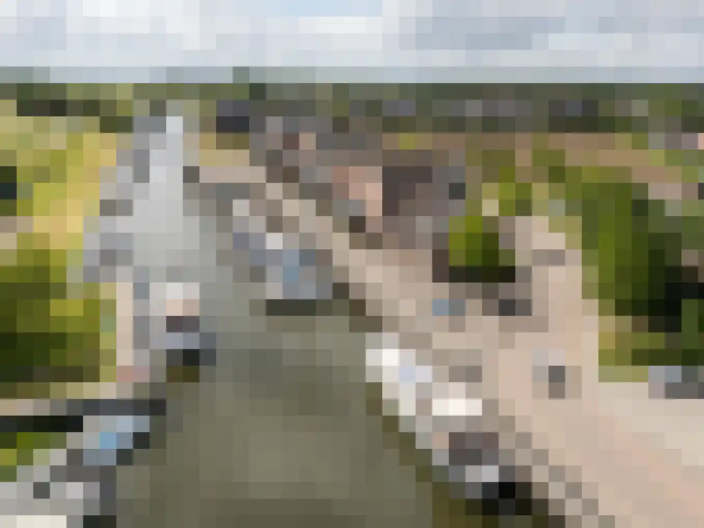 Handelskade 1 Oude-Tonge thumbnail 37