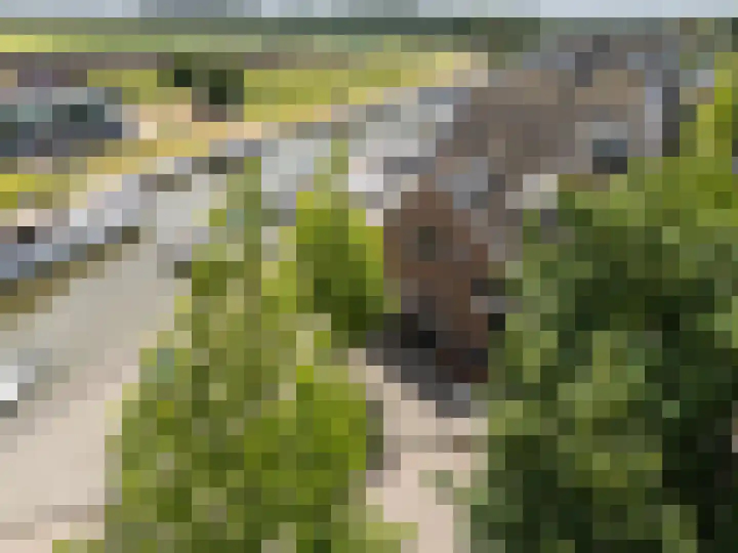 Handelskade 1 Oude-Tonge thumbnail 42