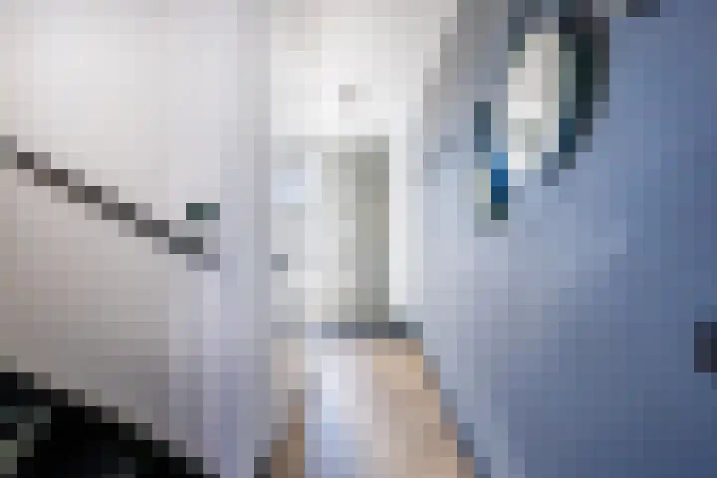 Handelskade 100 Doetinchem thumbnail 15