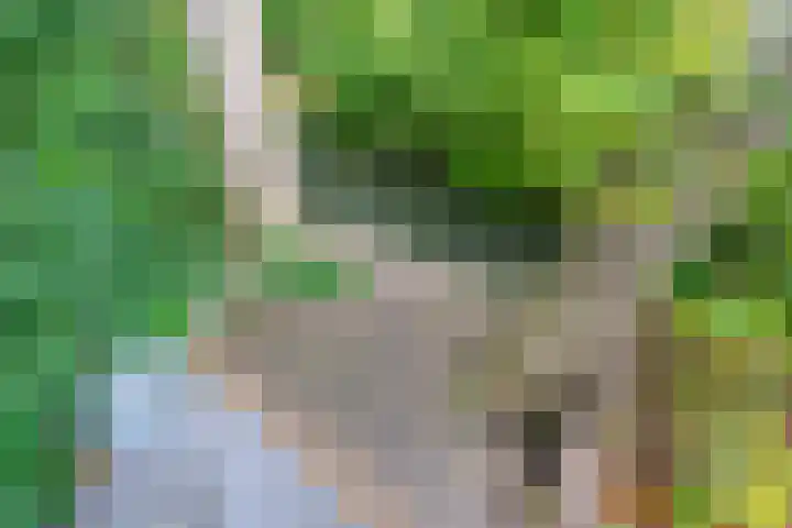 Handelskade 13 10 Nieuwegein thumbnail 31