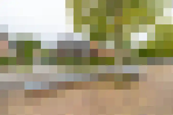 Handelskade 13 10 Nieuwegein thumbnail 57