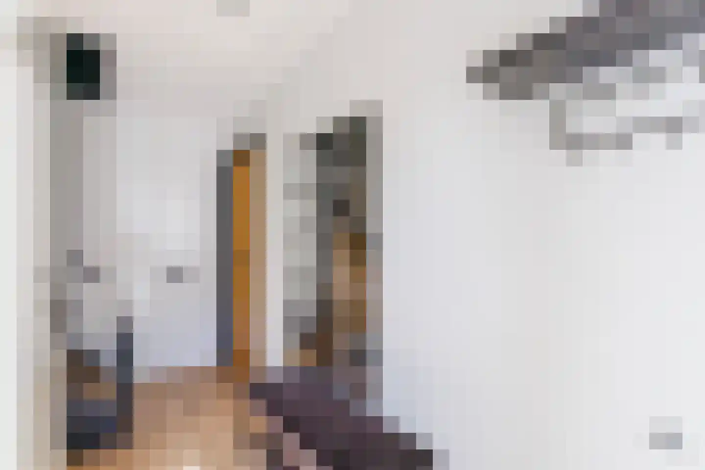 Handelskade 136 Doetinchem thumbnail 18