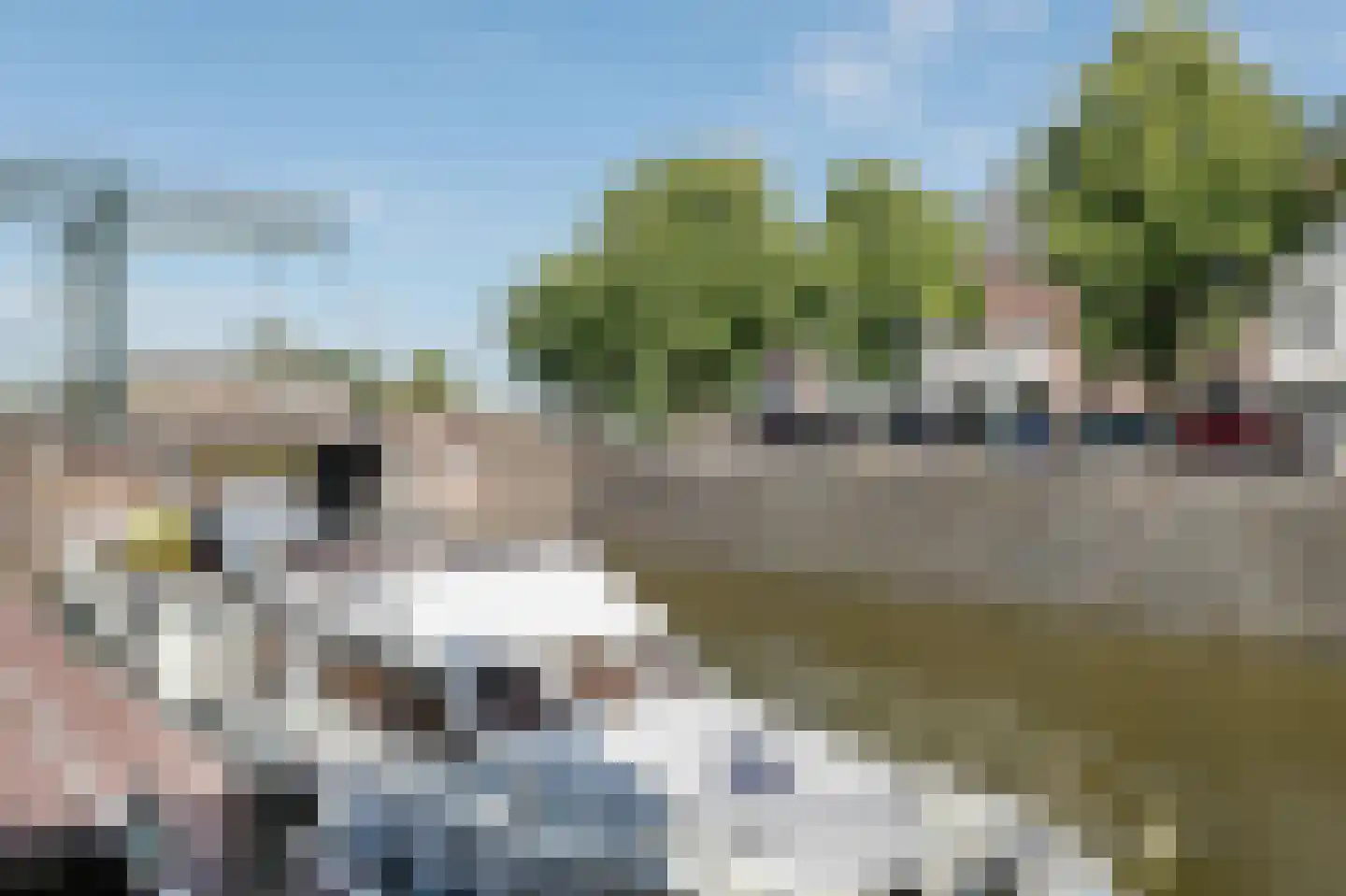 Handelskade 15 E 's-Hertogenbosch thumbnail 27