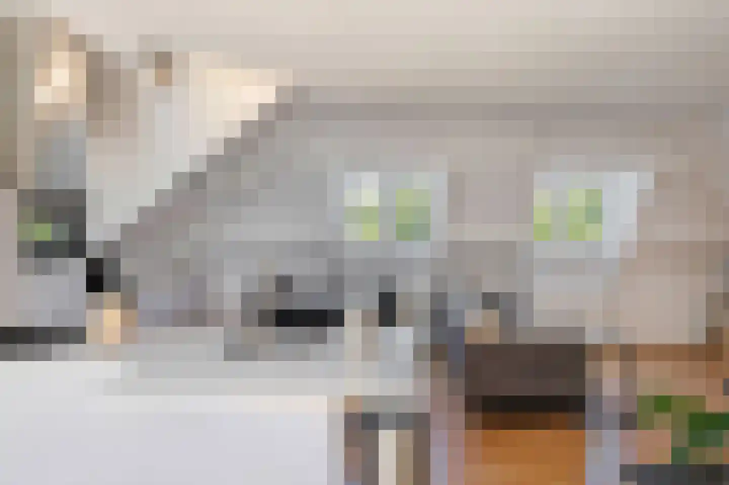 Handelskade 15 E 's-Hertogenbosch thumbnail 7