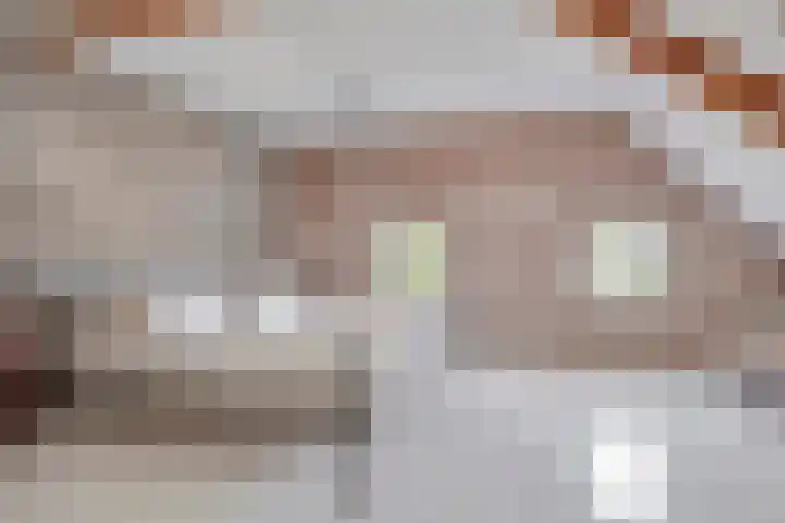 Handelskade 17 's-Hertogenbosch thumbnail 35