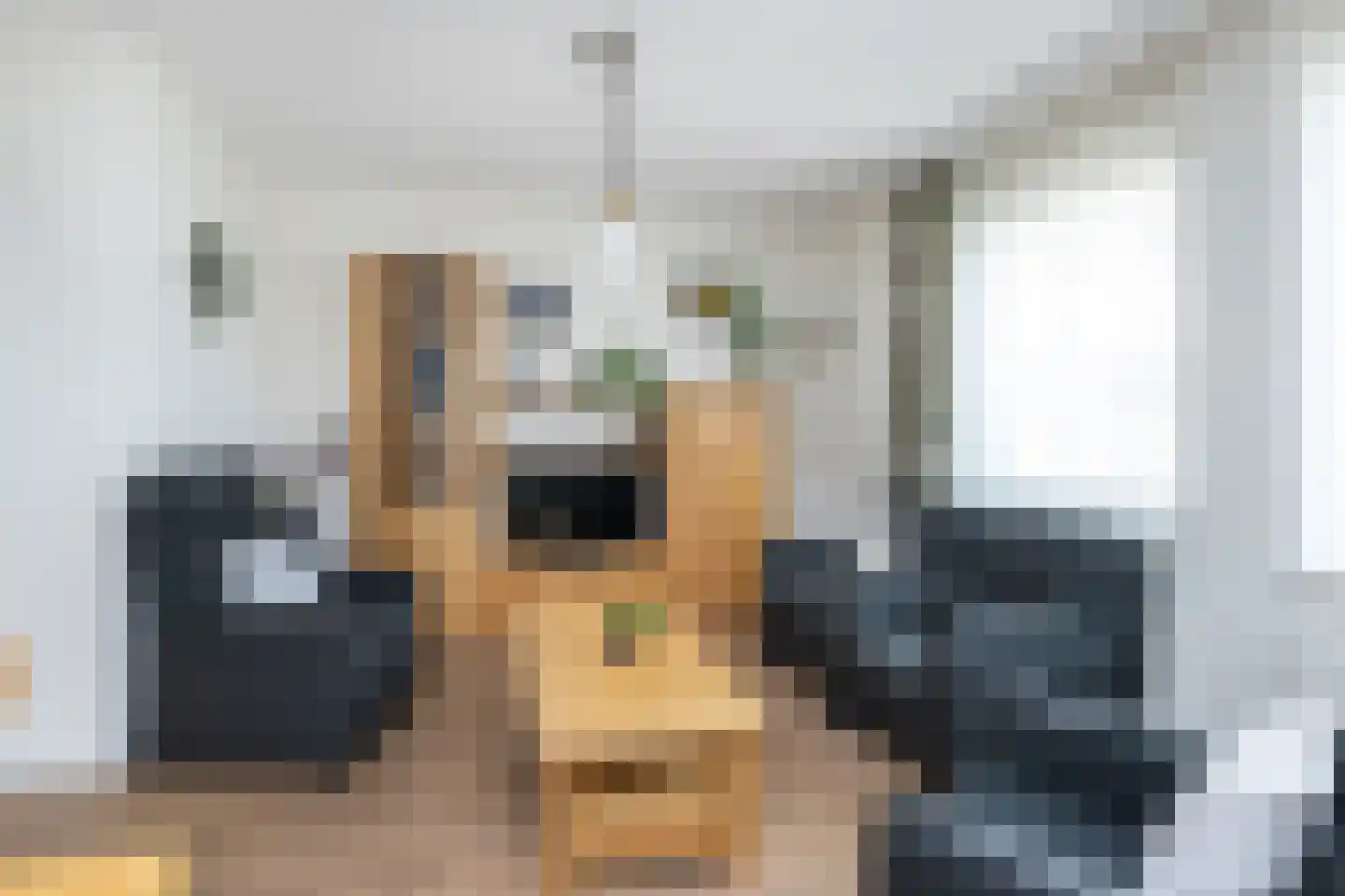 Handelskade 21 Oude-Tonge thumbnail 10