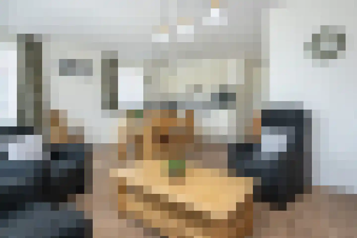 Handelskade 21 Oude-Tonge thumbnail 11