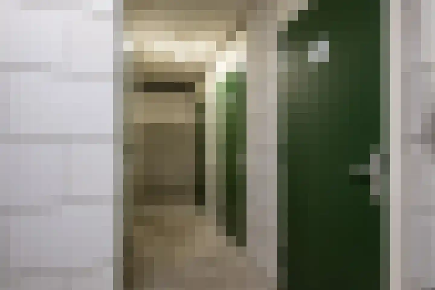 Handelskade 21 Oude-Tonge thumbnail 20