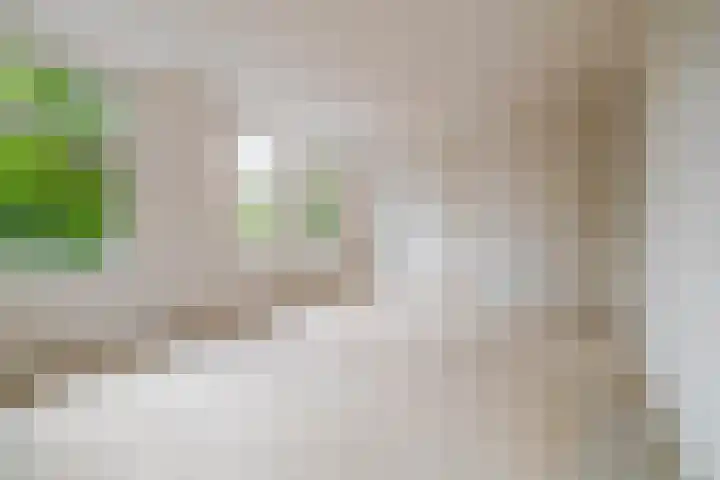 Handelskade 26 B Nieuwegein thumbnail 10