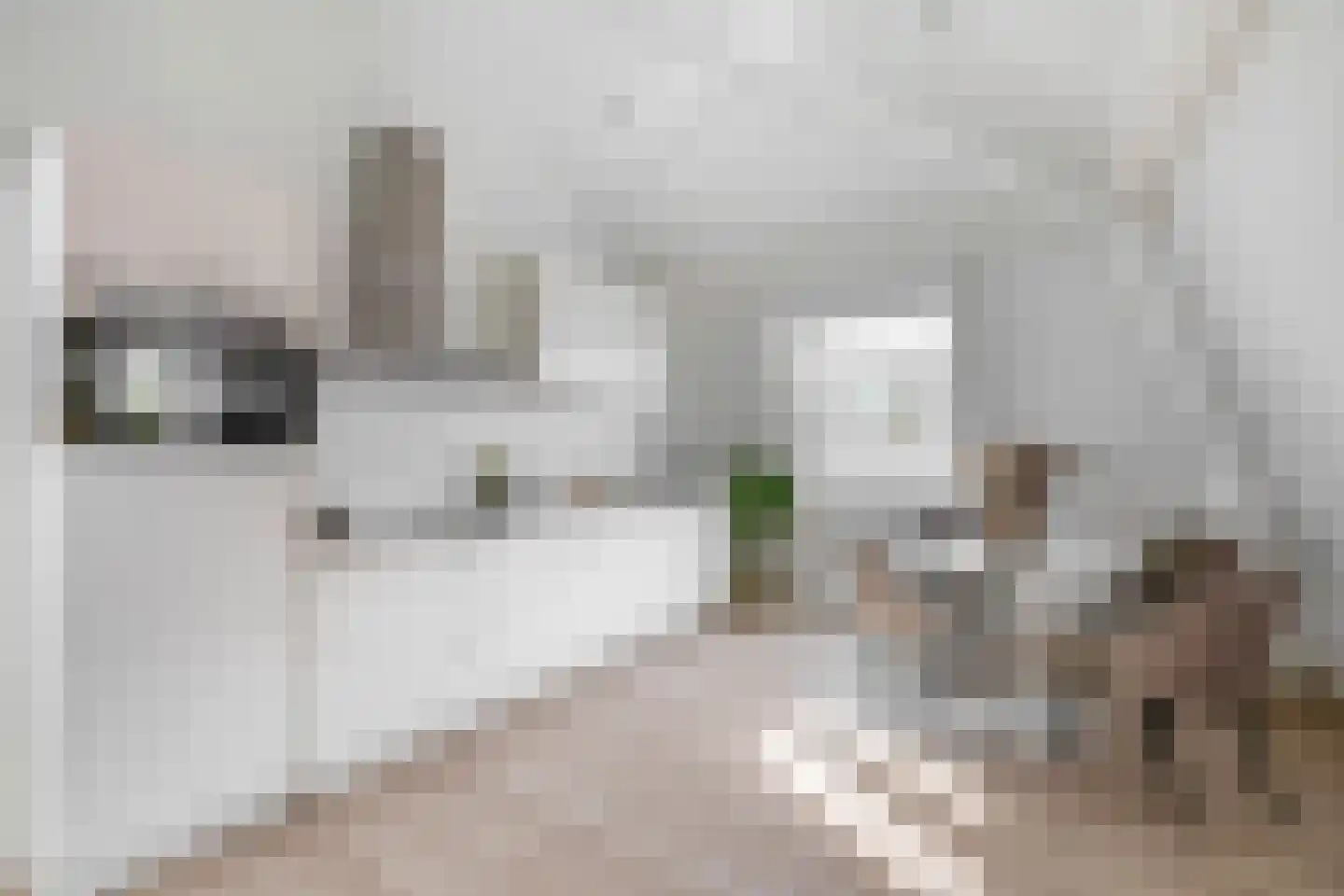 Handelskade 26 C Nieuwegein thumbnail 10