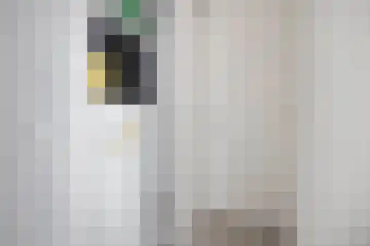 Handelskade 26 Nieuwegein thumbnail 16