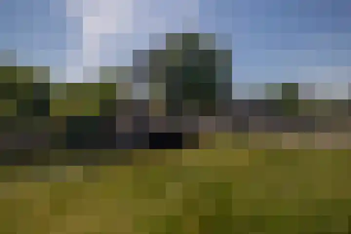 Handelskade 26 Nieuwegein thumbnail 18