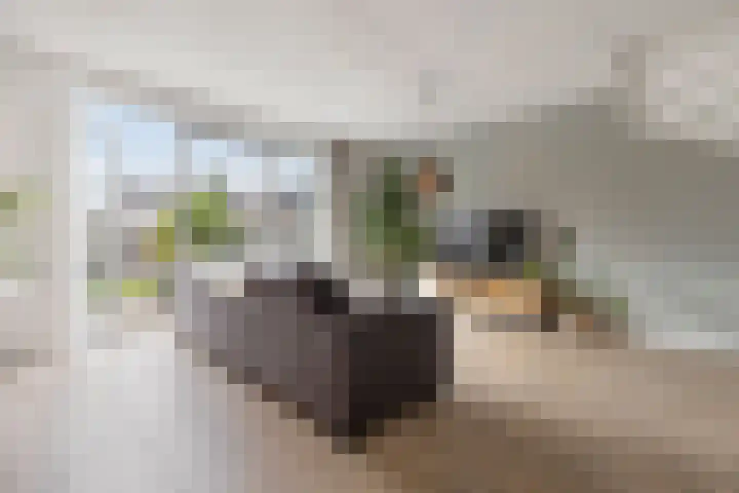 Handelskade 29 Blauwestad thumbnail 10