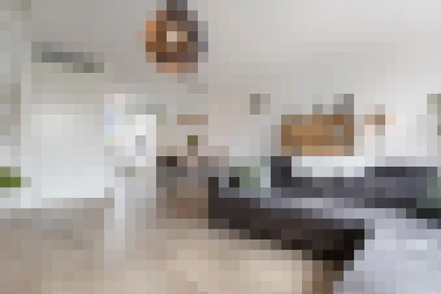 Handelskade 29 Blauwestad thumbnail 13