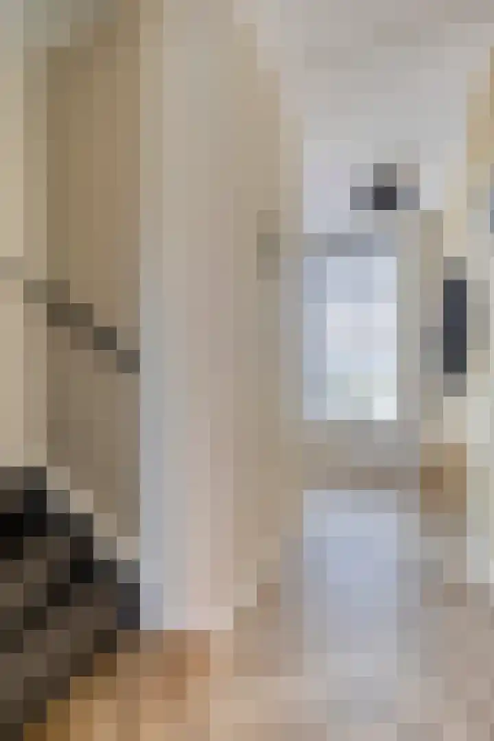 Handelskade 31 Blauwestad thumbnail 30