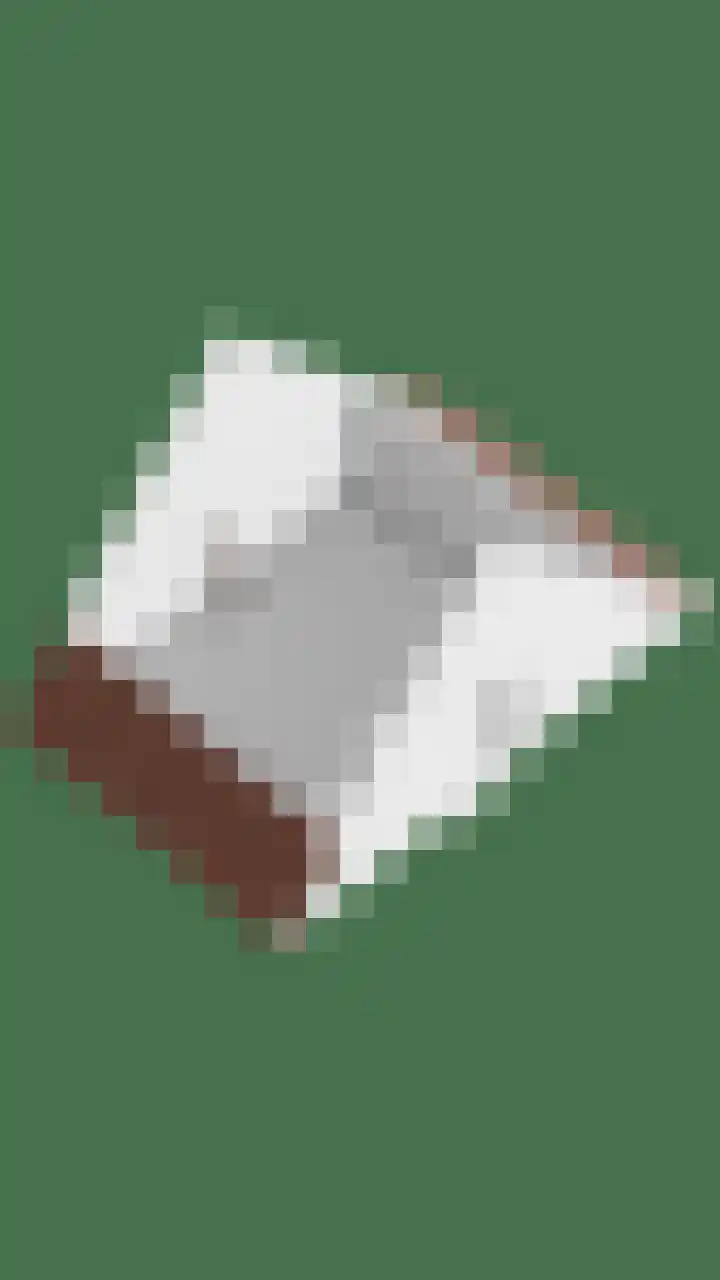 Handelskade 31 Blauwestad thumbnail 68