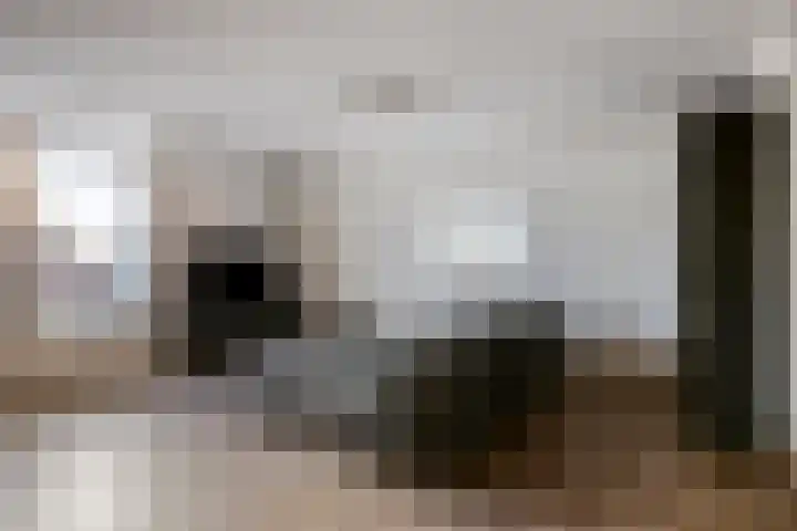 Handelskade 4 D 's-Hertogenbosch thumbnail 19