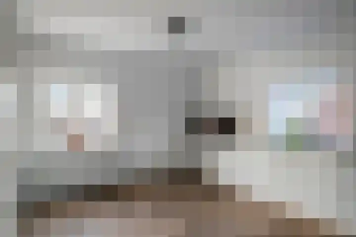 Handelskade 4 D 's-Hertogenbosch thumbnail 26