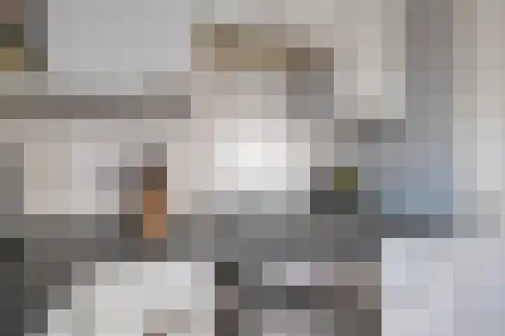Handelskade 4 D 's-Hertogenbosch thumbnail 27