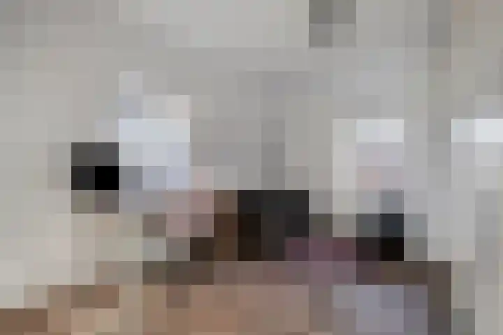 Handelskade 4 D 's-Hertogenbosch thumbnail 31