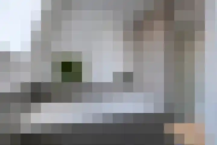 Handelskade 4 D 's-Hertogenbosch thumbnail 34