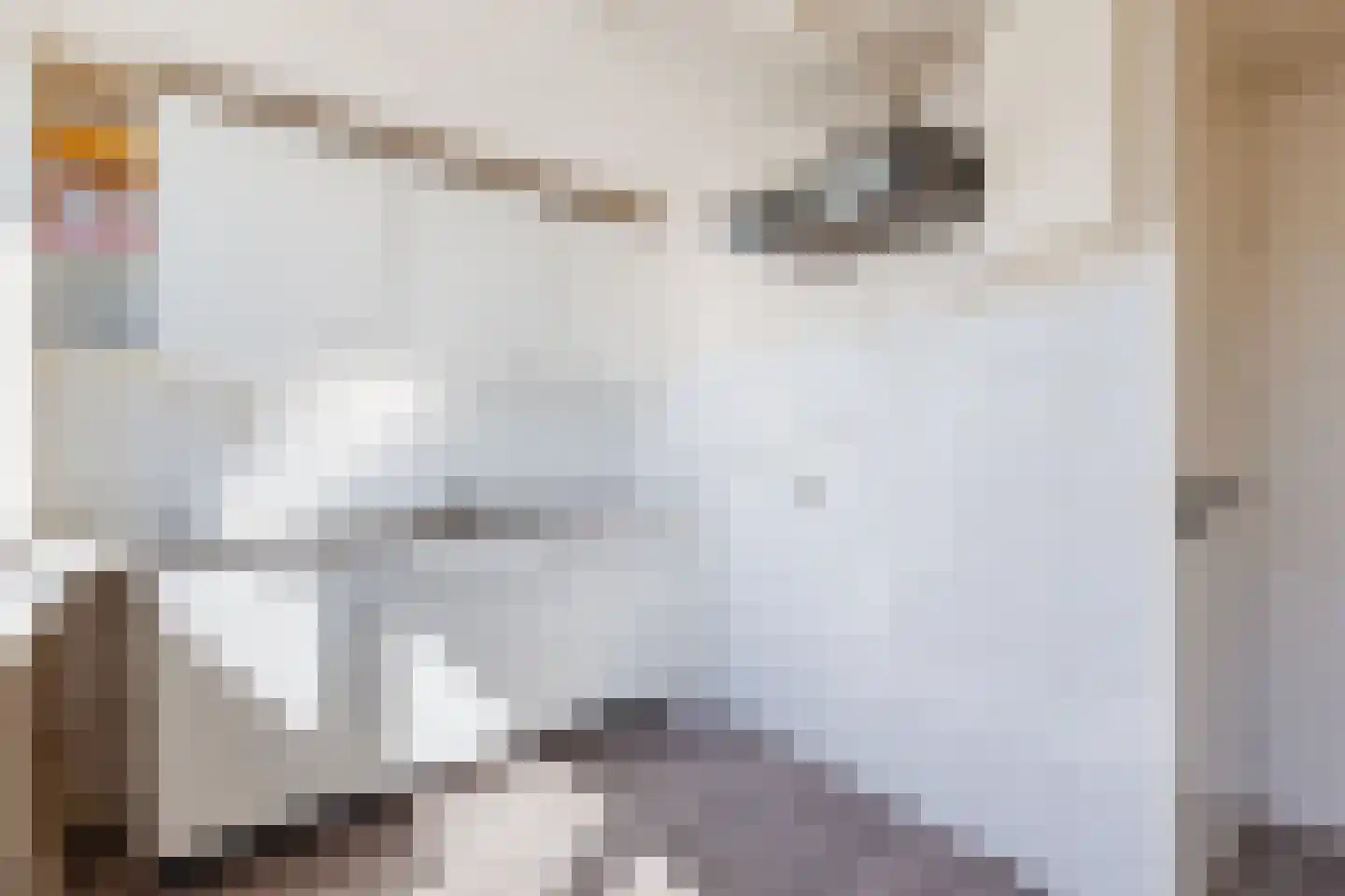 Handelskade 4 Noord-Scharwoude thumbnail 45