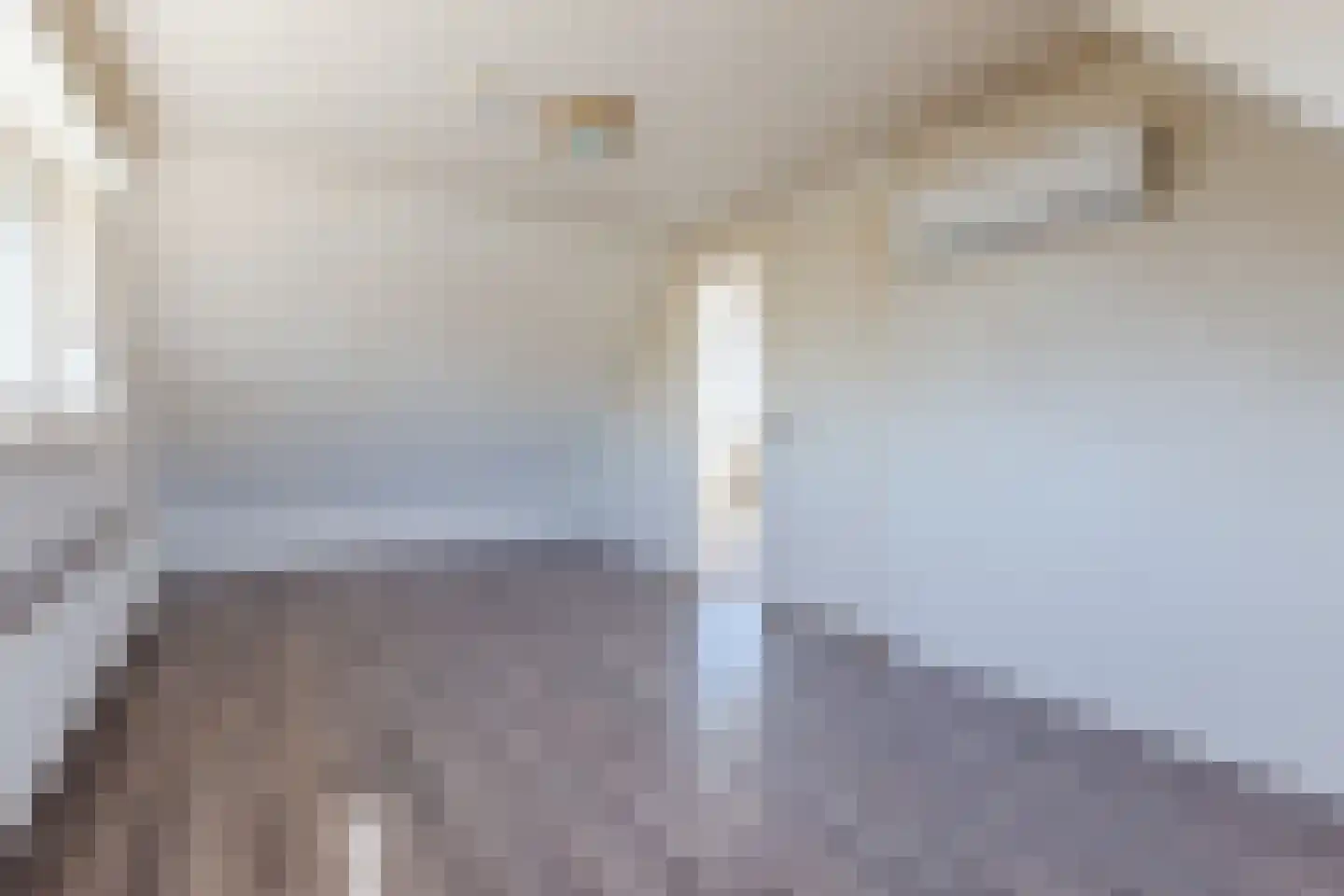 Handelskade 4 Noord-Scharwoude thumbnail 48