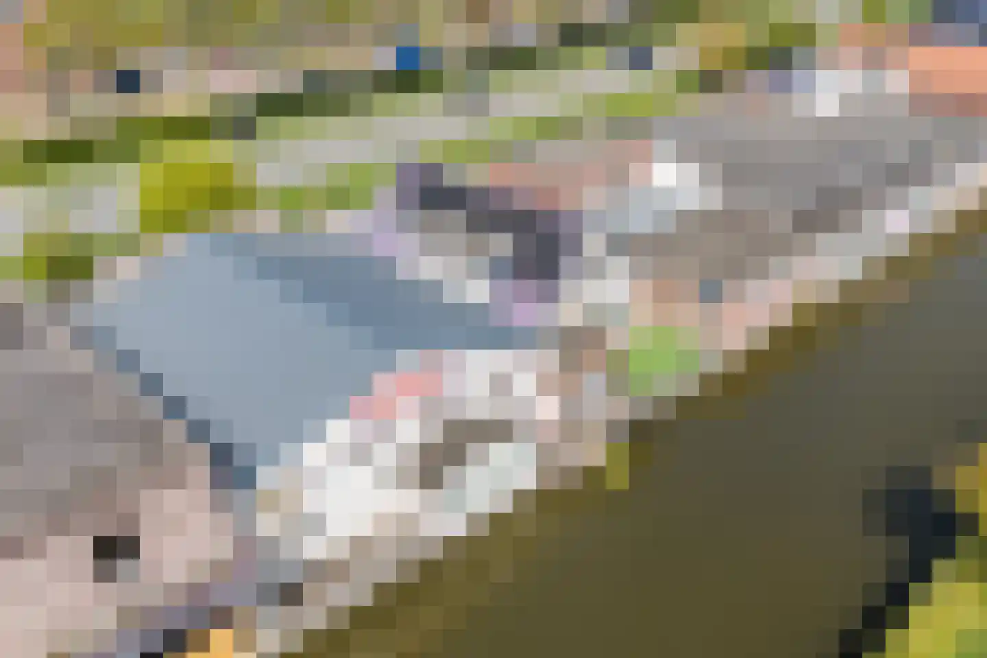 Handelskade 4 Noord-Scharwoude thumbnail 63