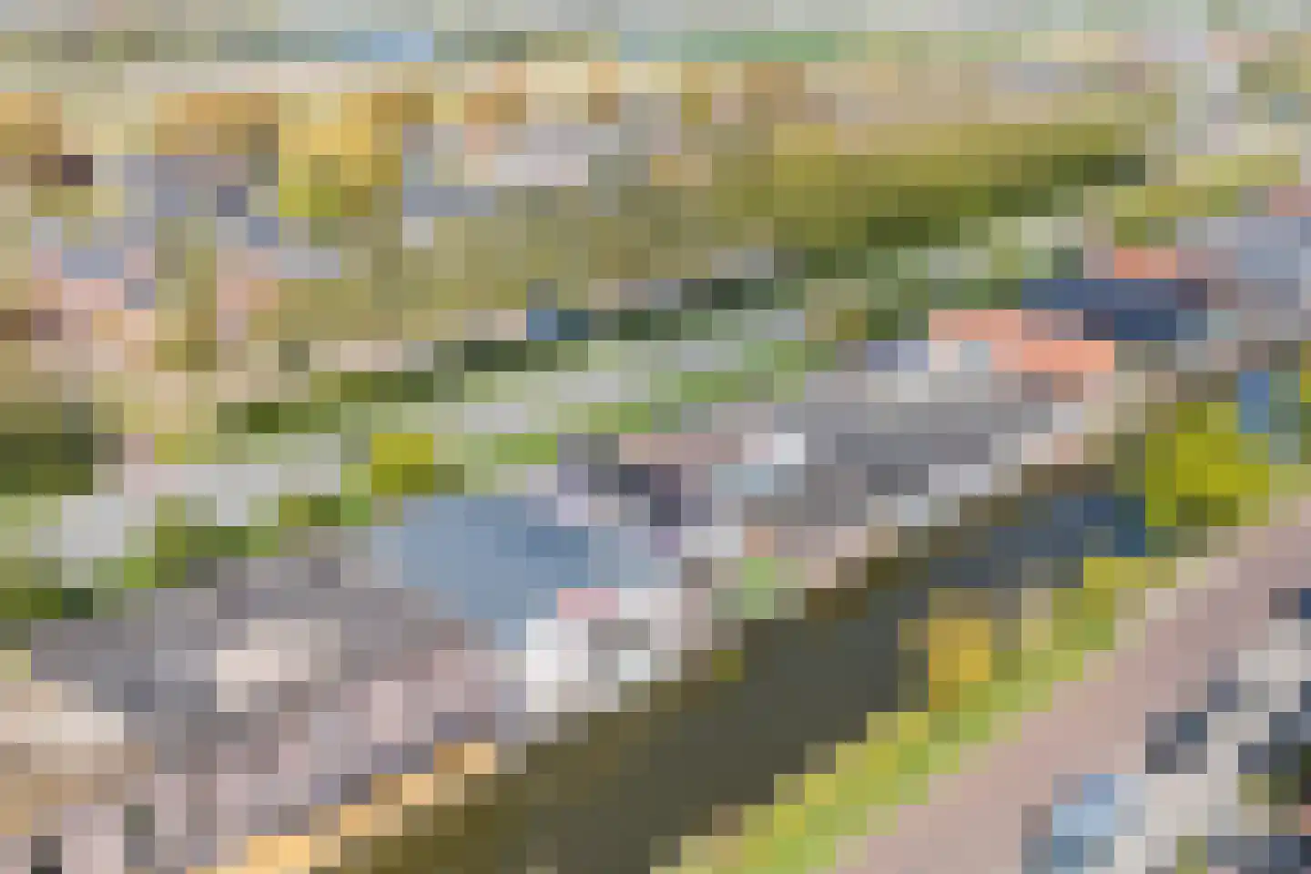 Handelskade 4 Noord-Scharwoude thumbnail 64