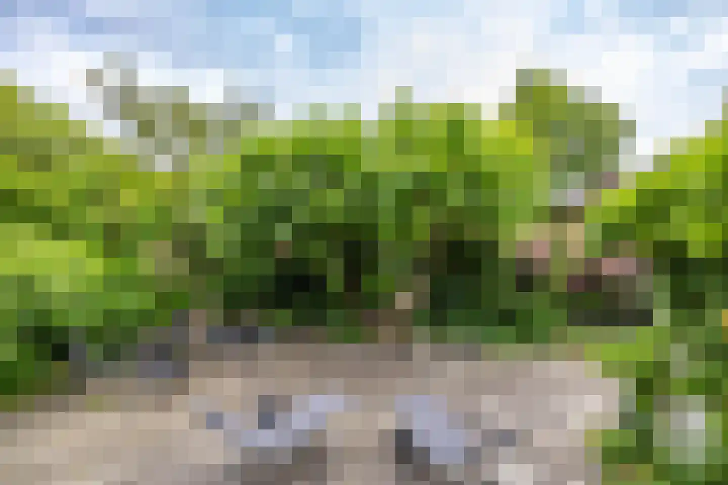 Handelskade 43 Stadskanaal thumbnail 25